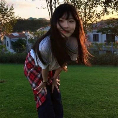 欢乐树的朋友们
